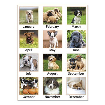 AT-A-GLANCE® Puppies Monthly Wall Calendar, Puppies Photography, 15.5 X 22.75, White-multicolor Sheets, 12-month (jan To Dec): 2022 freeshipping - TVN Wholesale